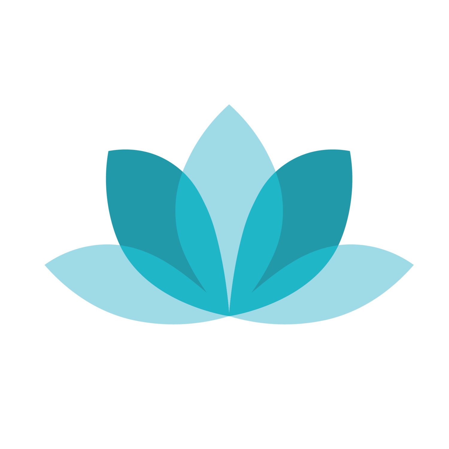 APASA Logo